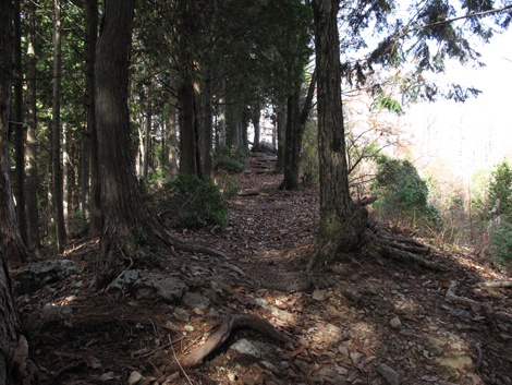 20151116hike (96)